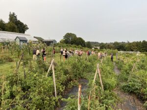 People standing around in a veggie garden